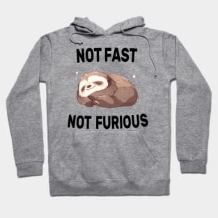 Not Fast Not Furious Sloth Funny Hoodie